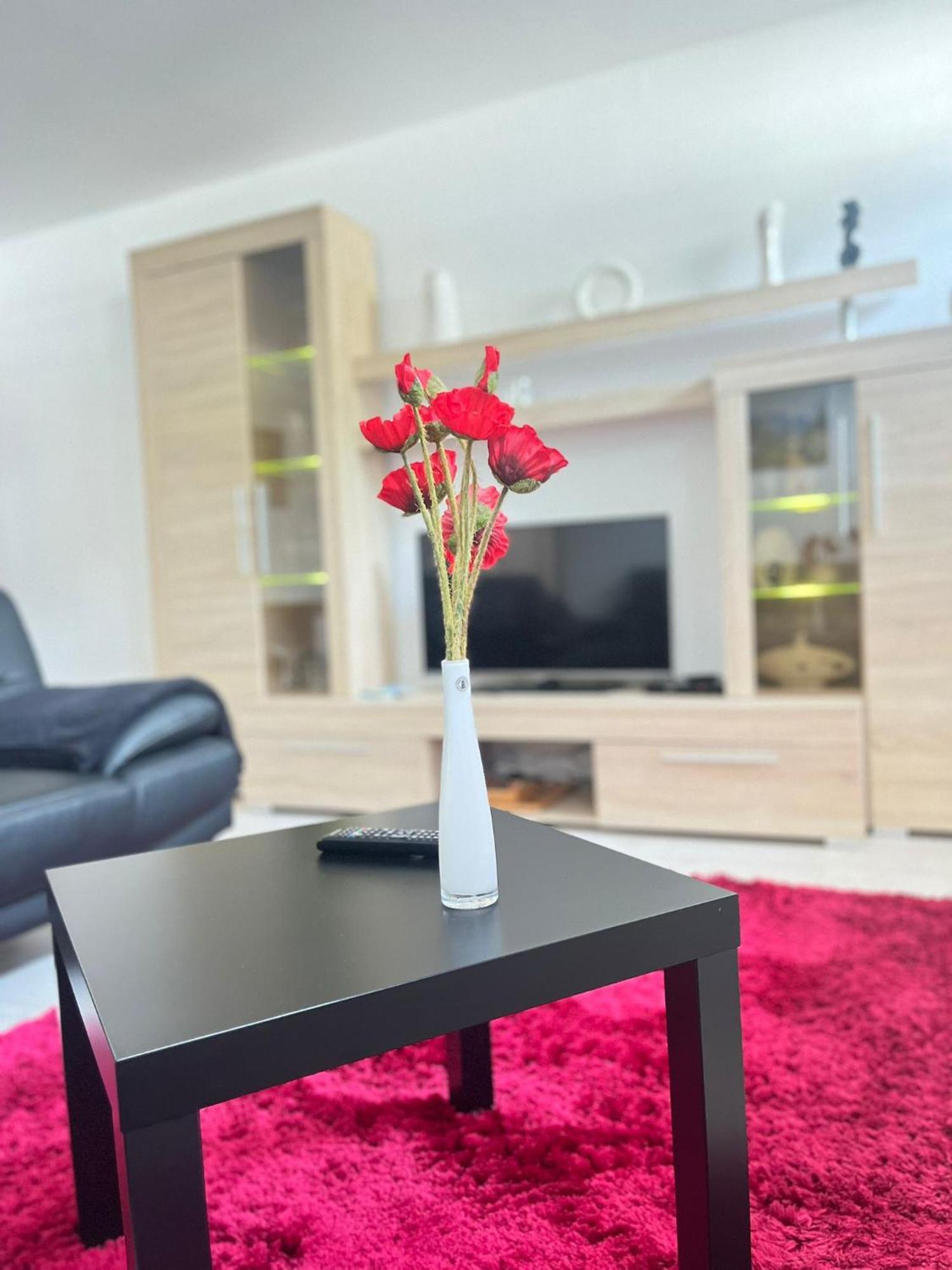 קמניץ Myhome Einsiedel An Der Zwoenitz 1 מראה חיצוני תמונה